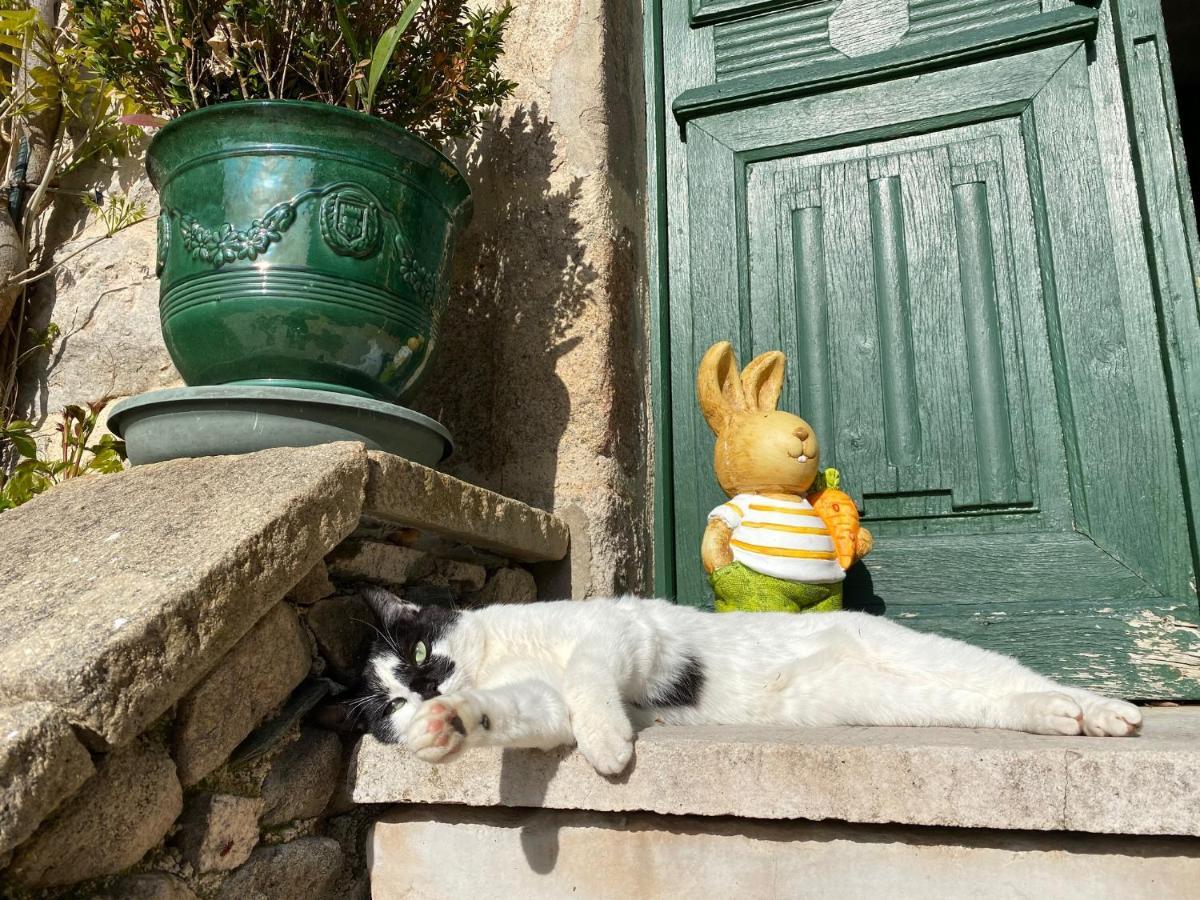 Le Clos St Georges Entraygues-sur-Truyère Dış mekan fotoğraf