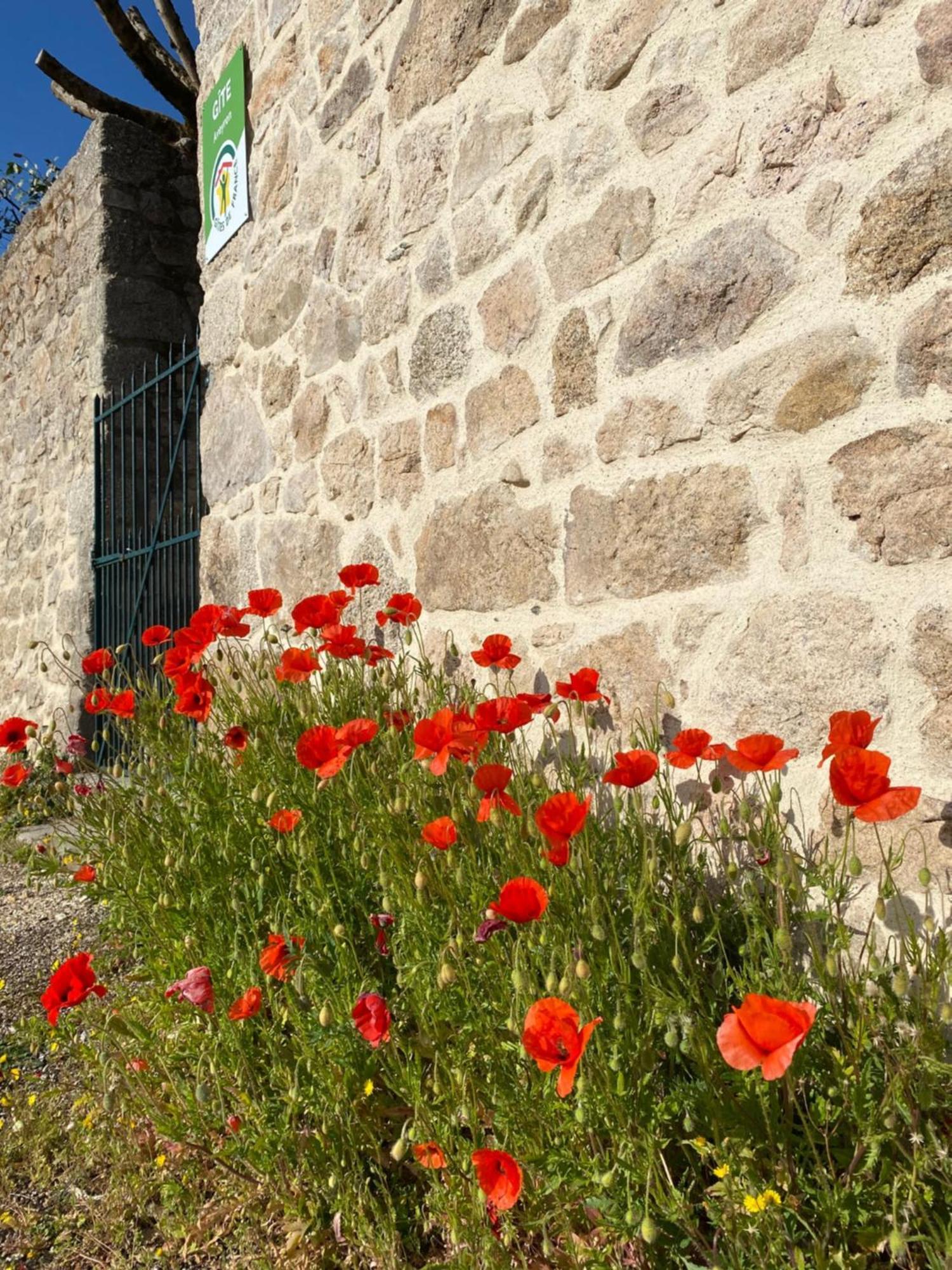 Le Clos St Georges Otel Entraygues-sur-Truyère Dış mekan fotoğraf